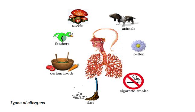allergens1